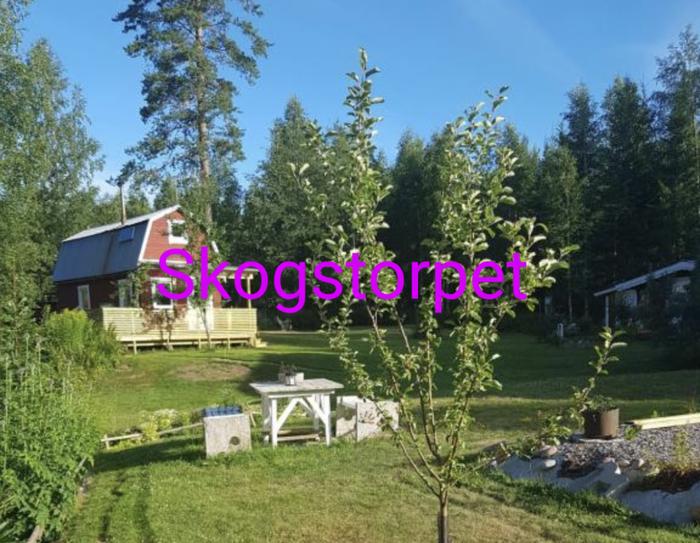 stuga “SKOGSTORPET” 3 dygn/4bäddar,